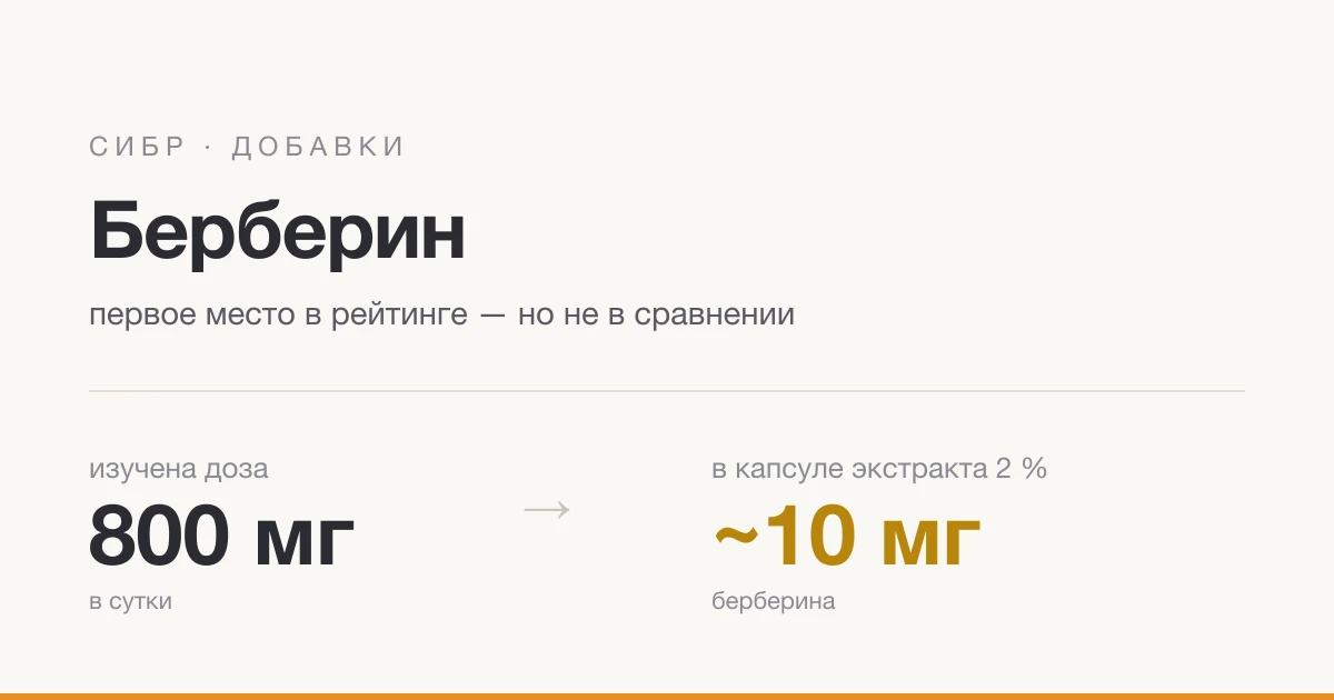Берберин при СИБР: первое место в рейтинге, которого ещё не с чем сравнить