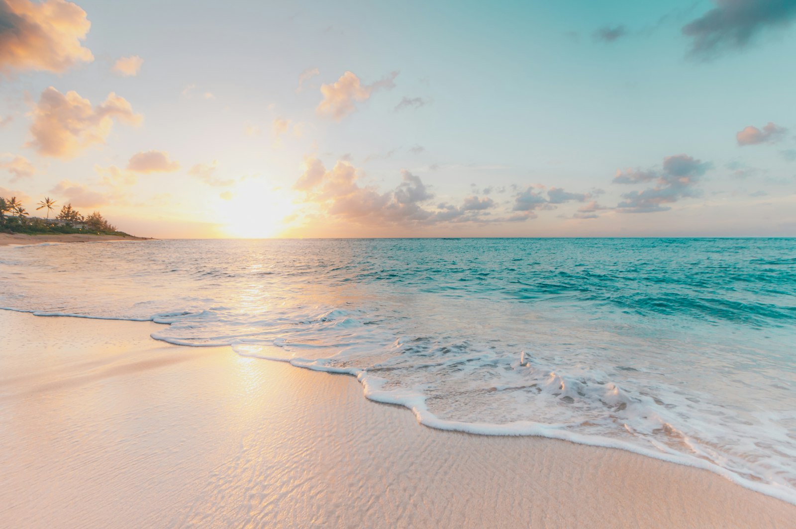 Tropical Retreat — Universum Earth